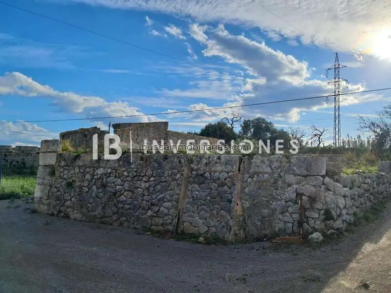 Finca Rústica en Venta Búger 13336m2