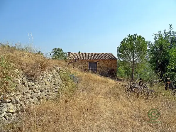 Casa de Campo con Proyecto en Jalon