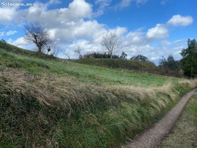 Parcela Illas La Peral Casa Campo Proyecto Incluido