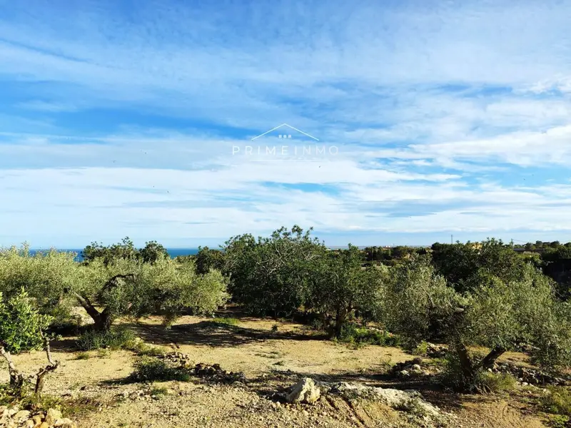 Terreno Rustico en Venta El Perello Tarragona