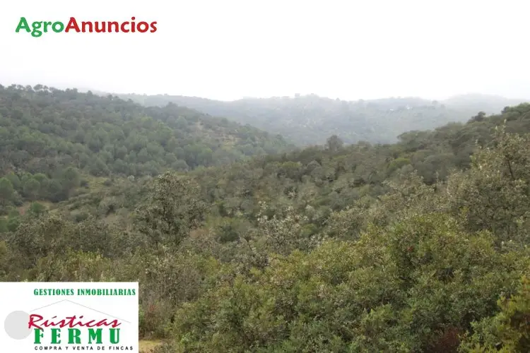 Venta  de Finca de caza en Córdoba