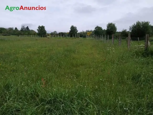 Venta  de Finca rústica en A Coruña