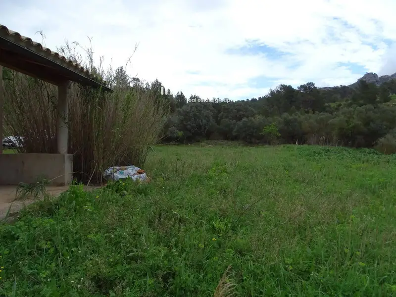 Finca Rustica en Horta de Sant Joan con Caseta Reformada