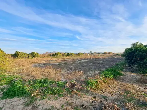 Campo en Alzira 043ha para Cultivo de Frutales