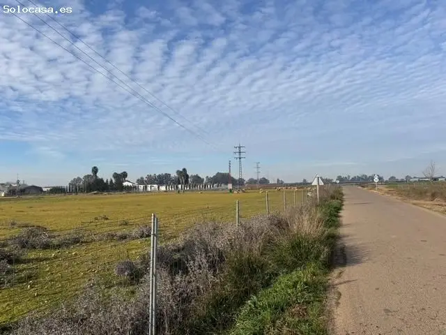 Terreno Urbanizable en Talavera la Real 3500m2