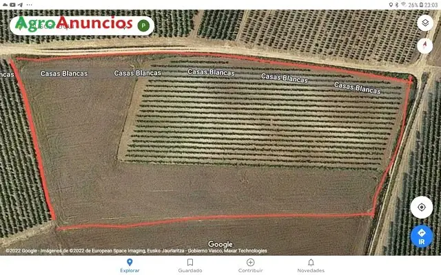 Finca Rustica en Briones La Rioja 15700m2 Derechos PAC