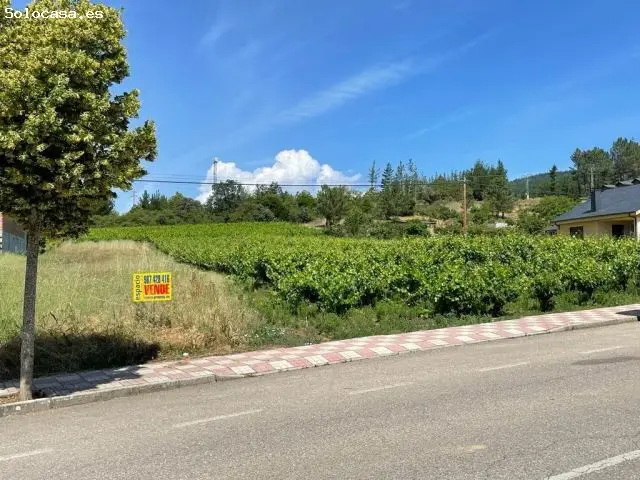 Venta Finca Urbana Arganza 2500m2
