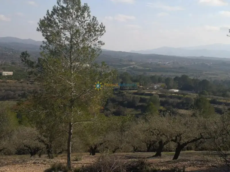 Casa Rural con Piscina y Naranjos cerca de Adsubia