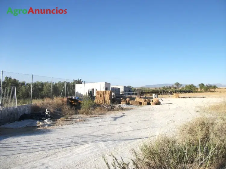 Venta  de Finca de regadio con vivienda en Granada