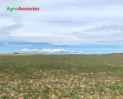 Venta  de Finca de labor, fácil acceso en Zamora