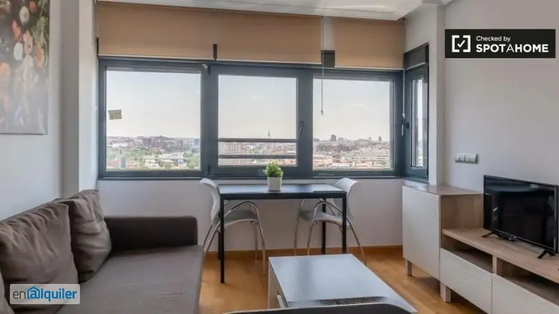Apartamento 1 Dormitorio Castilla Madrid Amueblado Profesionales Estudiantes
