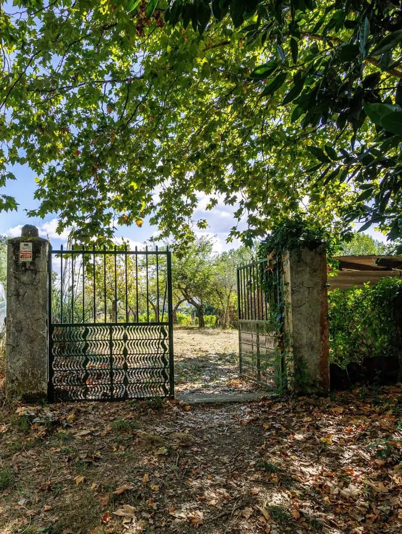 Finca con Viñedos en Venta cerca Monforte de Lemos