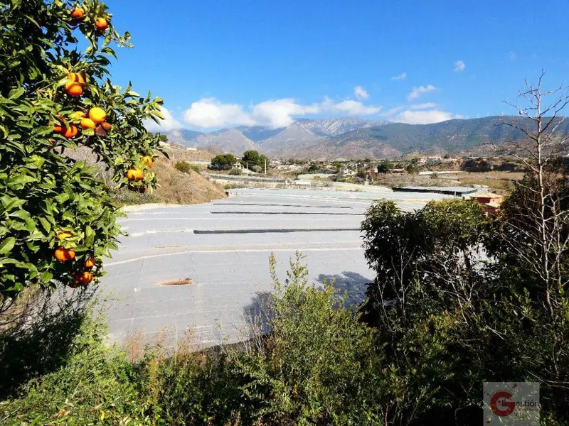 Finca Rustica con Invernadero en Venta Motril Granada
