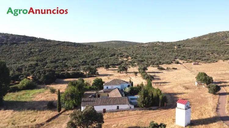 Venta  de Finca mixta ganadera y de caza en Ciudad Real