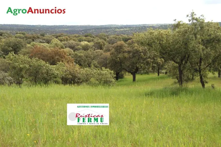 Finca Ganadera en Valle de Los Pedroches Cordoba