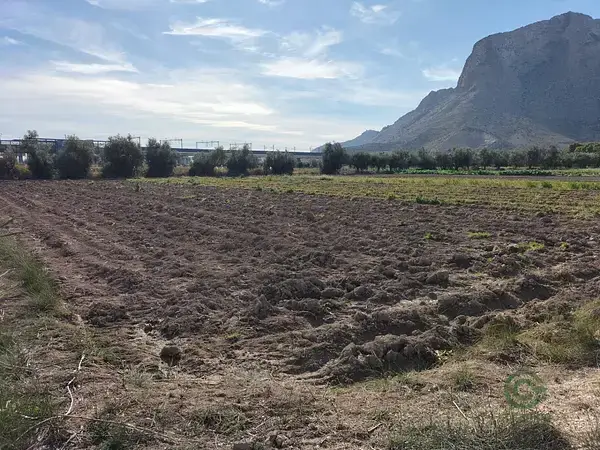 Terreno Rústico en Cox Alicante 2960m2