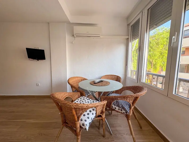Estudio en Alquiler Mil Palmeras Alicante