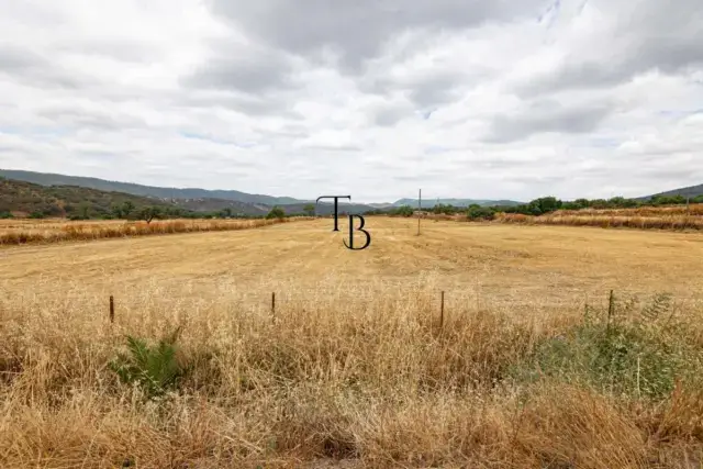 Finca Rustica en Venta Cañaveral de Leon 4 hectareas
