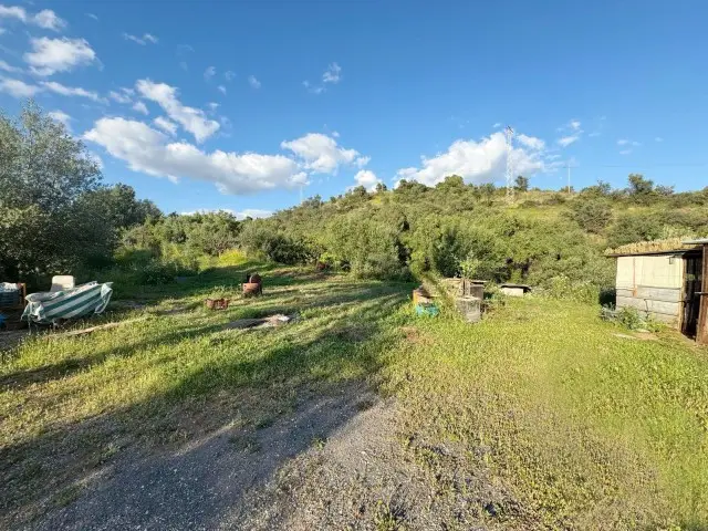 Granja en Venta Estepona 18400m2 Agricultura y Equitacion