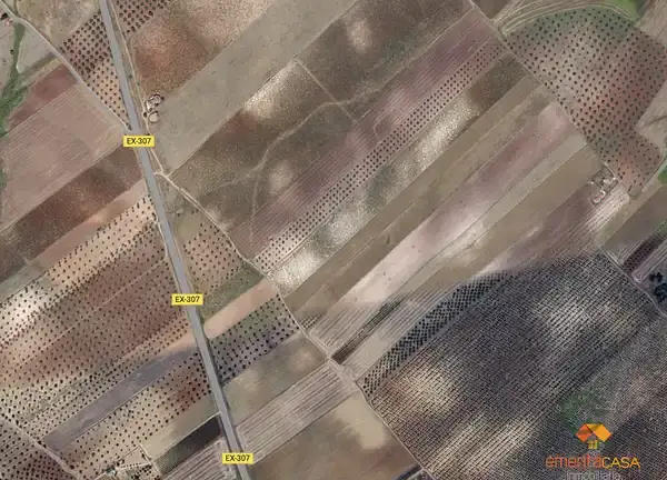 Terreno Rustico en Venta en Merida 8000m2