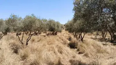 Finca Rustica en Venta Fregenal de la Sierra