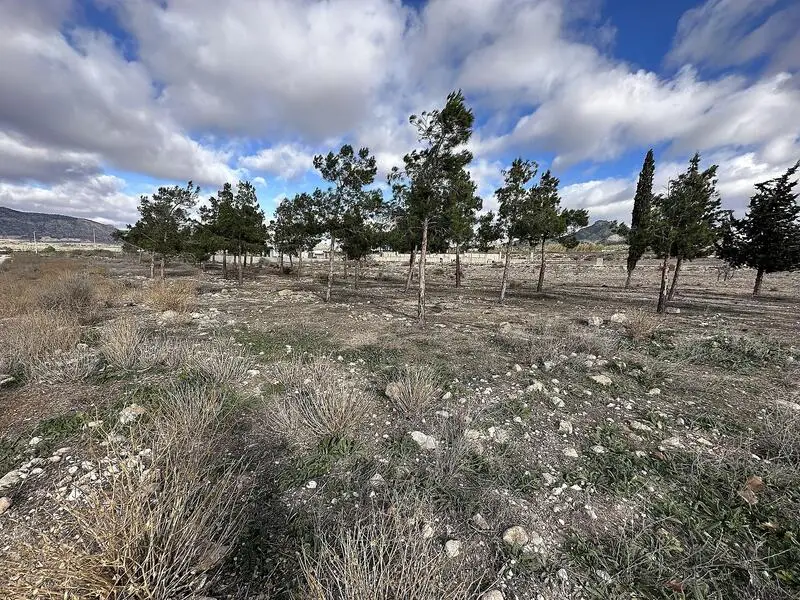 Terrenos en venta
Salinas, Alicante