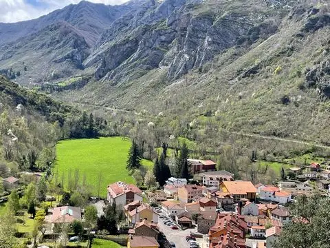 Terreno en Venta Asturias  45000m2  Lagos de Saliencia
