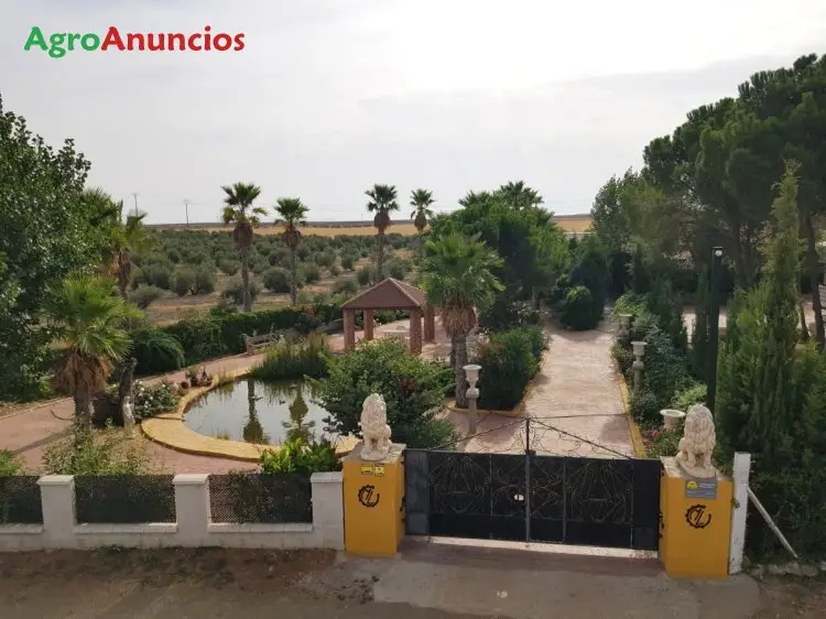 Venta  de Finca de regadío en Ciudad Real