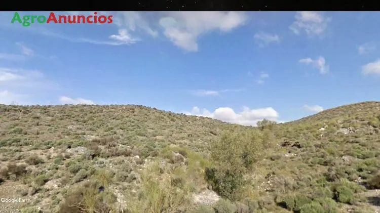 Venta  de Finca forestal en coto de caza en Almería