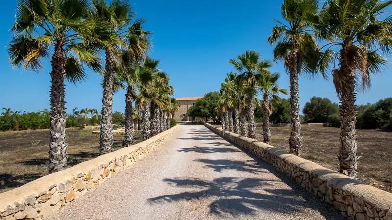Finca Rural en Venta cerca Santanyi Mallorca 4 Dormitorios Piscina