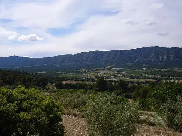 Casa de Campo Ecologica en Salinas Alicante 50000m2