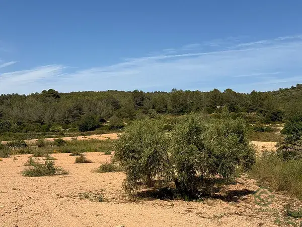 Finca Rustica 852ha El Catllar Cultivo Vistas Panoramicas