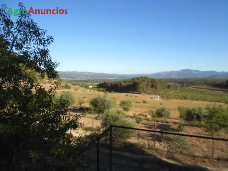 Venta  de Casa con olivos y almendros en Tarragona