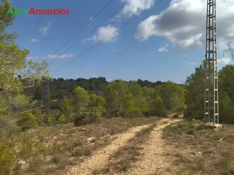 Venta  de Terreno forestal en Valencia