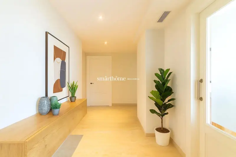 Atico Lujo Palma Mallorca 4 Habitaciones Terraza Piscina