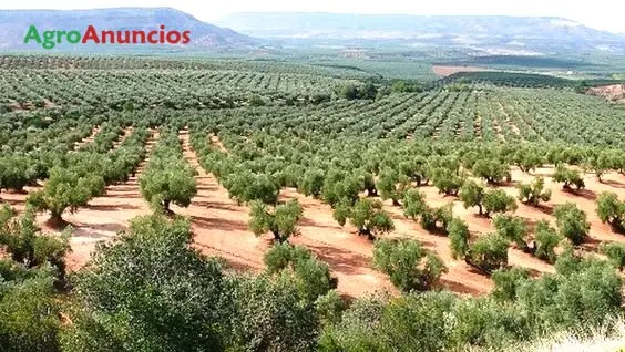 Demanda  de Finca agrícola en Badajoz