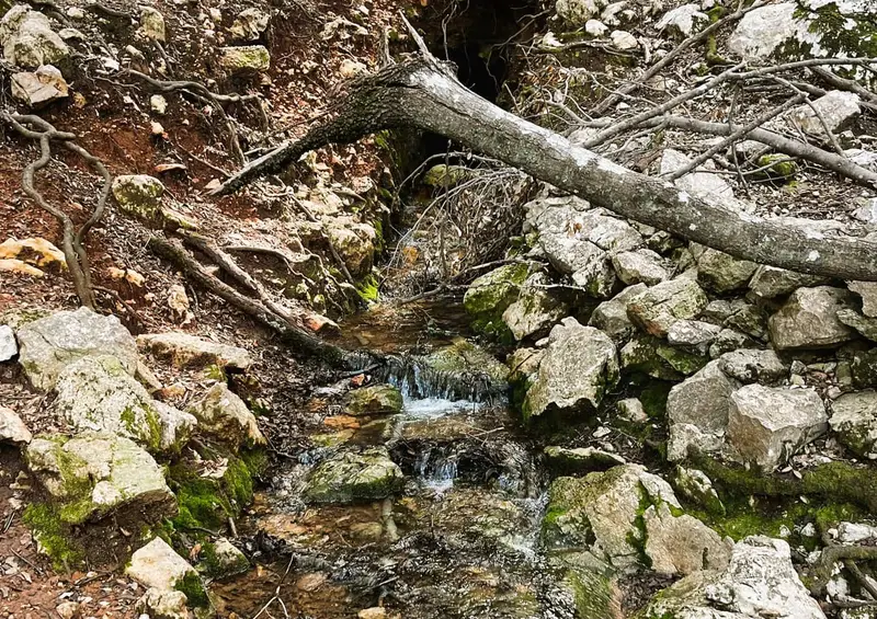 Finca Rustica en venta Mallorca Sierra Tramuntana