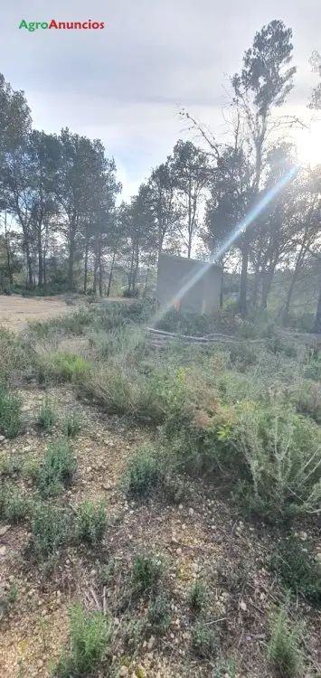 Venta  de Finca de recreo en Tarragona