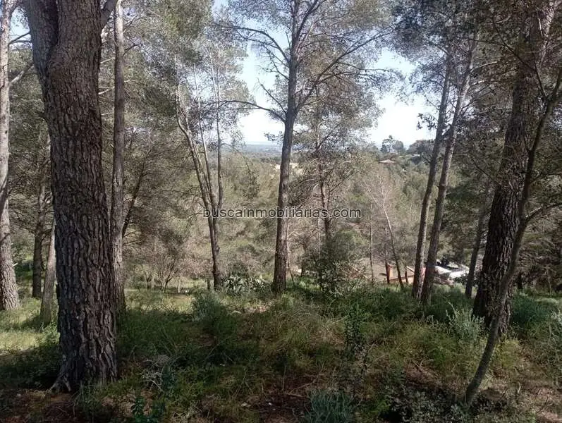 Parcela Urbana en Venta Riudecanyes Tarragona