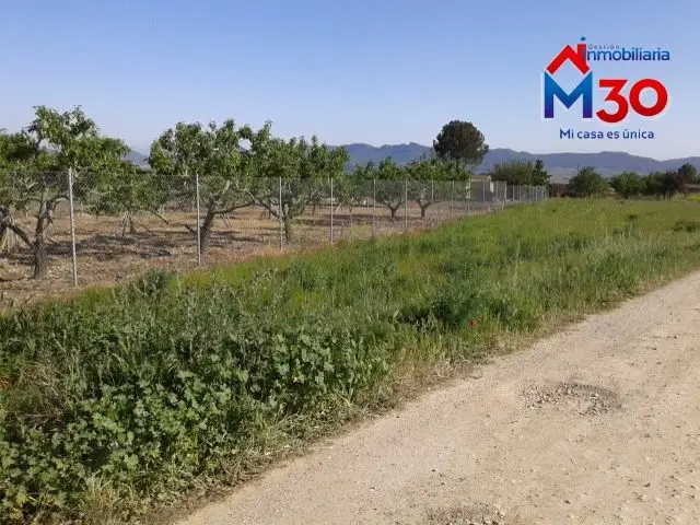 Venta Parcela Rustica Casalarreina 600m2