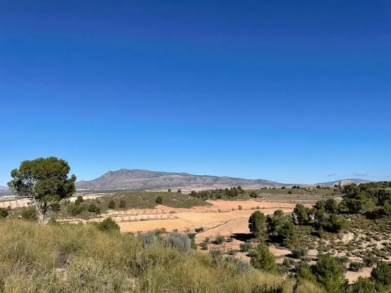 Parcela Edificable 43593m2 La Zarza Vistas Impresionantes