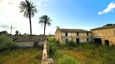 Finca Rústica 53000m2 Campos Casa Rural 700m2 Molino