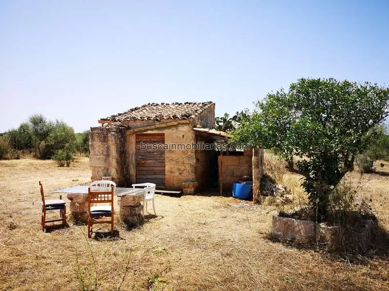 Parcela Rustica en Venta en Muro Mallorca