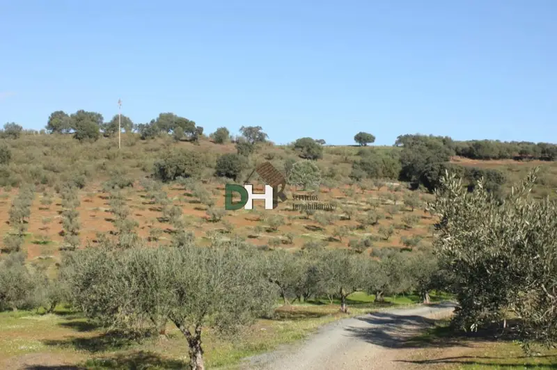 Venta Finca Rustica Villar del Rey Badajoz 37 hectareas