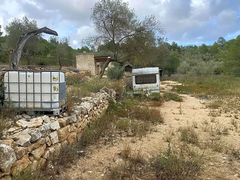Finca Rustica en El Perello con Olivos