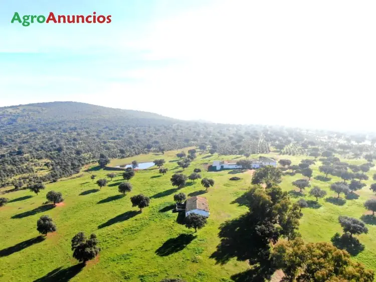 Venta  de Finca de recreo y ganadera en Badajoz