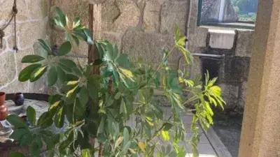 Casa Rustica en Venta Leiro 3 Dormitorios