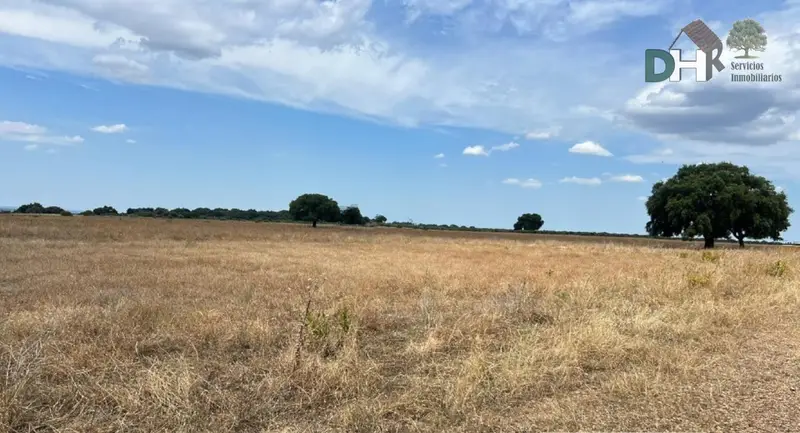 Venta Finca Rustica Cáceres 23 Hectareas Instalaciones Caballos