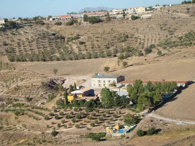 Cortijo 6 Dormitorios Granja Avicola 2 Casas 3 Piscinas 11 Acres