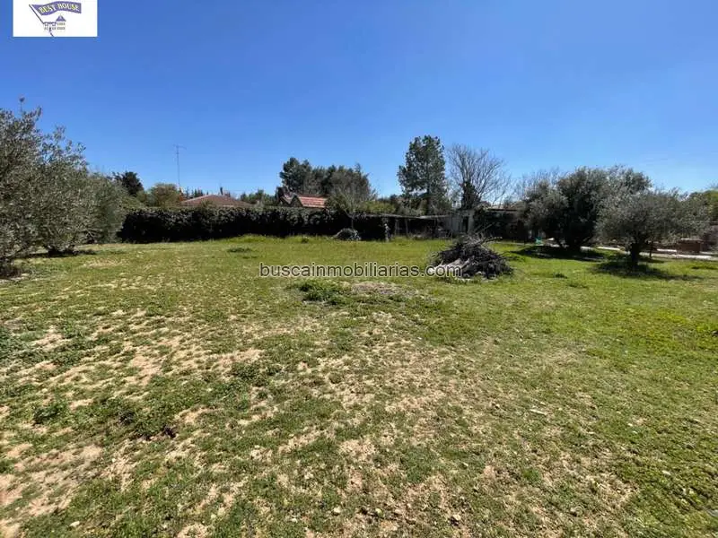 Parcela Rustica en Albacete con Casa y Nave